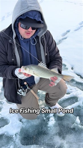 Ice Fishing: Small Pond Surprises and Fighting Fish