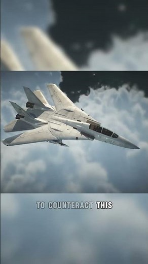 The PROBLEM with the F14 tomcat