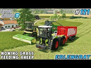 Feeding sheep with forage grass, harvesting corn | Erlengrat Farm | Farming simulator 22 | ep #121