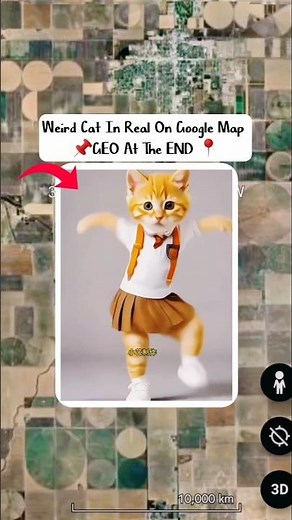 Weird Funny Cat In Real Found On Google Map And Google Earth #shots #catlover #thesecretearth1m