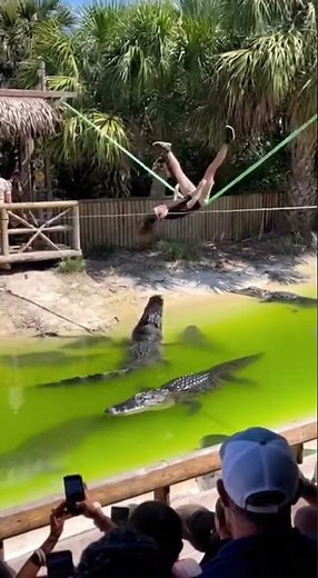 Man falls into crocodile pit!