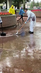 1.4K views · 299 reactions | It’s one of those days in Disney World…☔️️ | Disney World Packages -Orlando Florida | Facebook