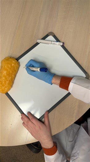 2026 Guide: How to get GLP-1 access without fighting your insurance. Try the 2-minute eligibility check now | Health On Forbes