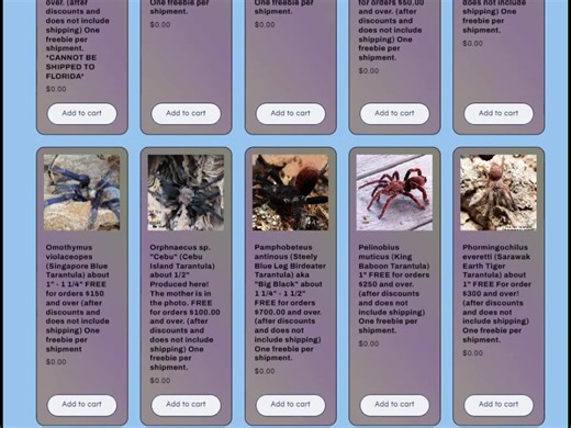 📢📢FREE TARANTULAS! 🥳🥳 We have the best selection of freebies around, and YOU get to choose what you want! From Blue Beetles, GBB, Grammostola pulchra, to Psalmopoeus victori, you have many choices. Don't want to add a spiderling? That's ok, we have habitats and other things for FREE too! You can choose a FREE spiderling with every shipment! https://fearnottarantulas.com/collections/freebies | Fear Not Tarantulas, Inc