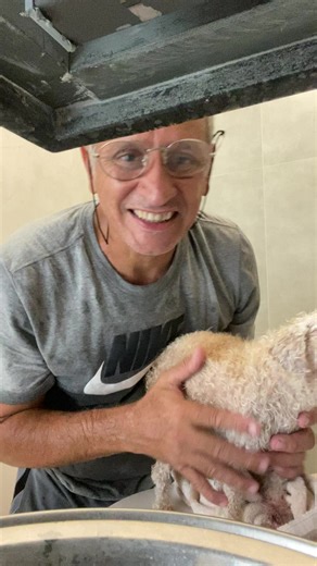 How to Wash Small Dogs: Tips for a Stress-Free Bath