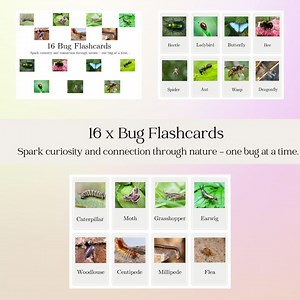 Bug Flash Cards: Nature Learning for Preschool (digital Download) - Etsy Canada