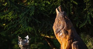 Roundabout Art Tells the History of Bury St Edmunds