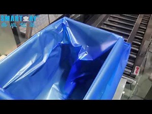 Frozen Food Carton Bagging Line