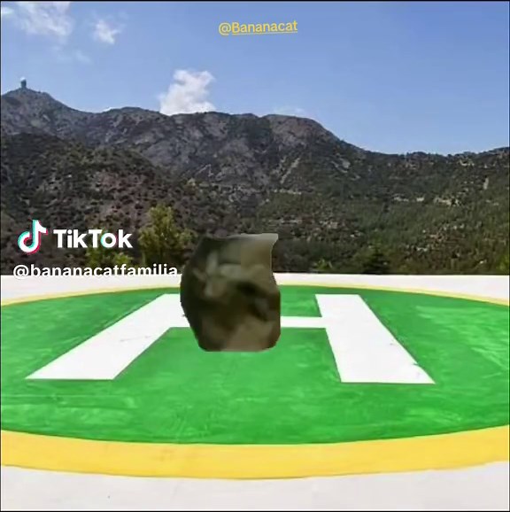 Bananacat Takes Flight! Watch the Epic Helicopter Video!