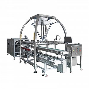 Parallel Robot for Intelligent Picking and Packing of Frozen Food