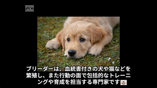 ブリーダーってどんな仕事なの