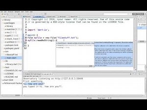 30 Learn to Program in Dart: dart:io