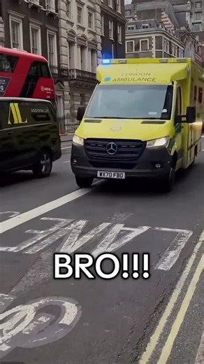 Weezeg on Instagram: "from drummergrant on tiktok #weezer #weezermemes #memes"