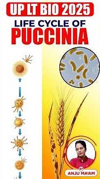 🌾 Life Cycle of Puccinia 🌿 Wheat Rust Disease Explained by #AnjuMam #SciencePlanet
