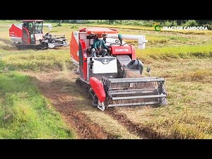 Combine Harvester Kubota DC-93 Harvesting Rice - Greet Work Safety Operator | Agricultural Machinery