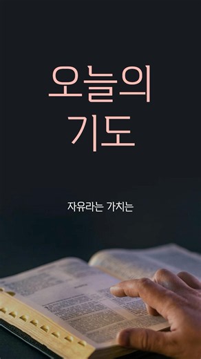 오늘의 기도 🙏 #나라를위한기도 #감사기도 #회개기도 #기도 #예배기도 #하루기도 #아침기도 #기도문 #금요기도회