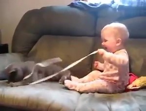 125K views · 871 reactions | Cats Vs Dogs Curiosidades on Reels | Facebook