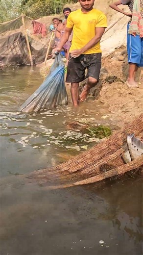 Amazing River Fishing | Huge Chital Fish Caught #ChitalFish #FishingLife #BigCatch #RiverFishing