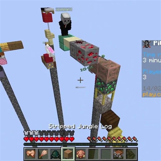 This Game was INTENSE! #minecraft #gaming #pillarsoffortune