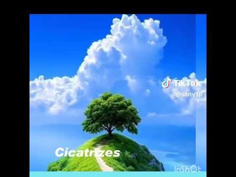 15 de março de 2026