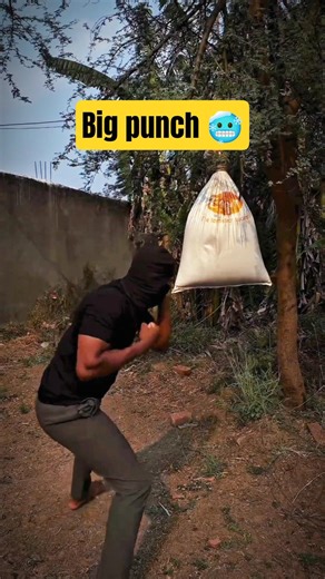 Mma Fitness Gym Punch👊