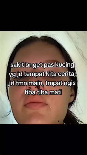 Kehilangan Kucing Kesayangan: Kisah Sedih dan Kenangan
