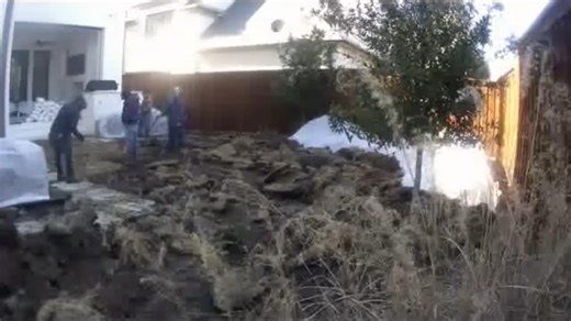 ✨ Dive into the 30-Second Turf Transformation Extravaganza!  Check...