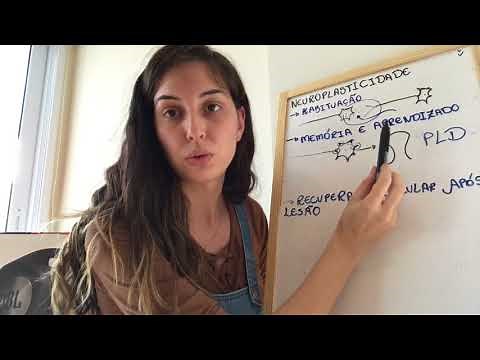 Neuroplasticidade - Resumão