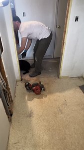 Holiday demolition… with a surprise guest😁 | Boden LaBrie - Realtor