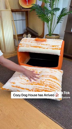 Discover the Cozy Dog House for Your Pet 🏠