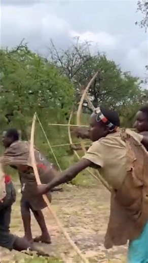 A Giant Wild Encounter | Real African Bush Experience