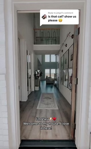 Charming Dog Exploration in Beautiful Home Interior