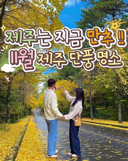 제주도의 가을 단풍 명소 탐방