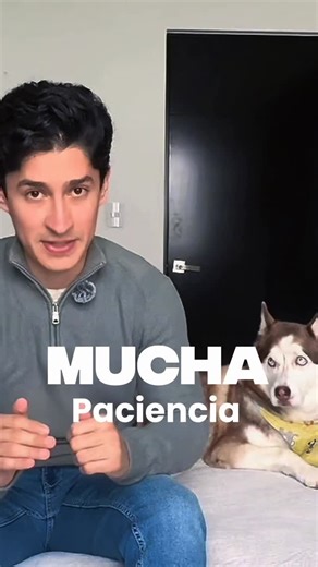 Gerardo Sanchez on Instagram: "Cómo es tener un husky? 🐺video completo en mi canal de YT https://youtu.be/g0wMqNAyAJI?si=v57CGNfyCDFKz98T"