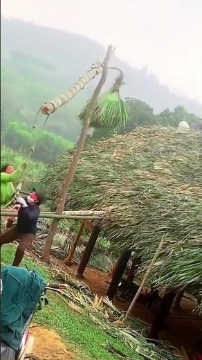 haystack building process