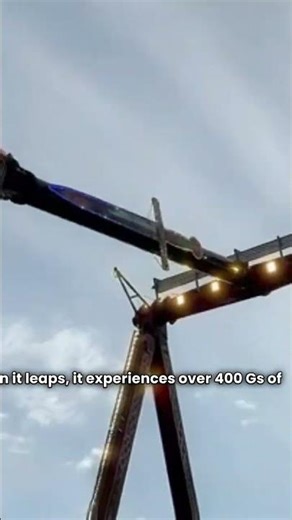 This Bug Pulls More G-Force Than a Fighter Jet! ✈️🐜