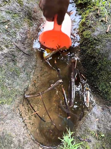 Exploring a Mysterious Hole of Rusty Stones and Gold