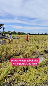 Kanugtog ibon sa bukid #MAGSASAKA #ibongligaw #fbreelsfypシ゚viralfbreelsfypシ゚viral | Buhay Karera JRTV
