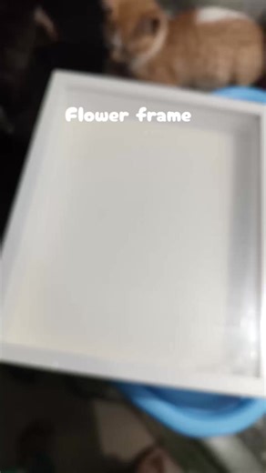 Creative Ideas for Flower Frame Preservation