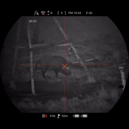 Huntingsbrothers on Instagram: "🌧️🌙 LIGHT RAIN. FOGGY. DARK NIGHT. RAZOR SHARP. 🔥 Filmed through my Pard Night Stalker 4K EX from @hunting.care 🔦 Even in light rain and fog, the image stays crystal clear — no blur, no excuses 💯 One moment. One shot. One wild boar down 🐗💥 This is why good gear matters when it counts. — Julius"