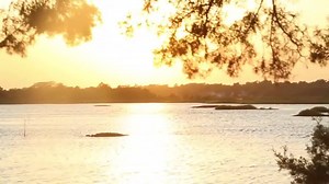 94K views · 141 reactions | Call Today 866-226-1569! Limited Availability Property Sales Fast! NC coast!! 24 dock-able waterfront lots, private beach access, with spectacular unobstructed views over Topsail Sound & the Intracoastal waterway. Check out our new coastal development! North Carolina Island living doesn't get any better than this! Don't miss out on this rare opportunity 18 out the 24 lots have sold in the last 6 months!!! | Diamondback Development | Facebook