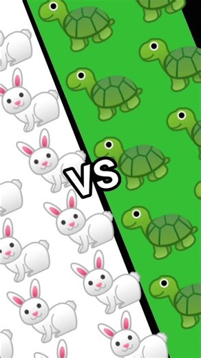 rabbit VS turtle
