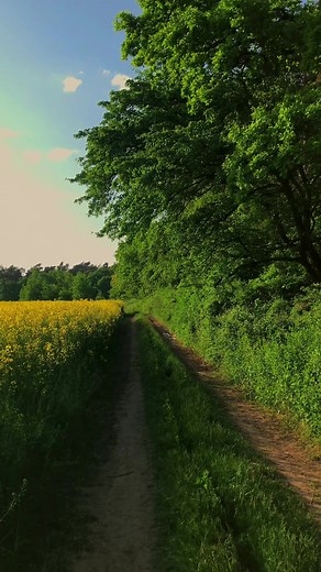 Exploring Serene Natural Landscapes in Rural Areas