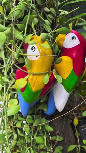 ลมหนาวมาแล้ว