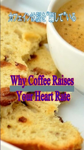 Why Coffee Increases Your Heart Rate