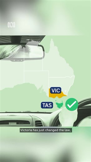 driver who had taken a dose of prescribed medicinal cannabis two days before being involved in a car crash was fined despite not being at fault. He now wants state governments to consider changes to the rules. ✍️ Jamie Thannoo via ABC Great Southern Get the news that matters to you straight from the source. Download the ABC NEWS app: https://ab.co/abcnewsapp. | ABC News