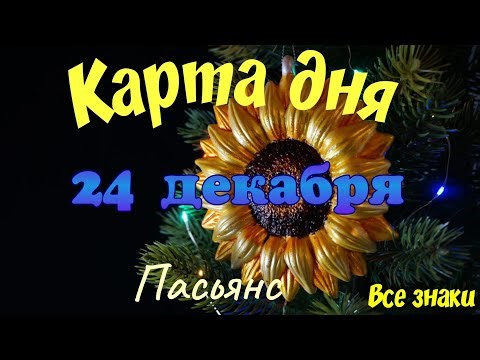 Card of the Day❄ December 24th🎄☃️Solitaire. Timecode in the description🦢