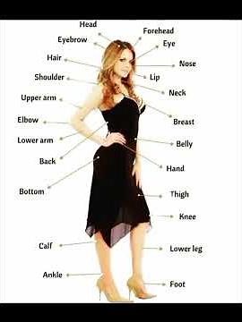 body parts name ? female body parts name | body parts name in English? easily learn English|