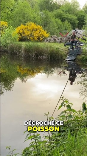 Lake fishing: hemp seeds that attract carp! #shorts