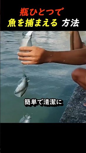 How to catch a fish with a bottle